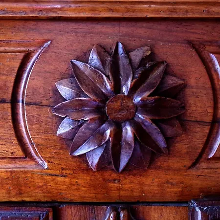 Апартаменты La Pivoine *